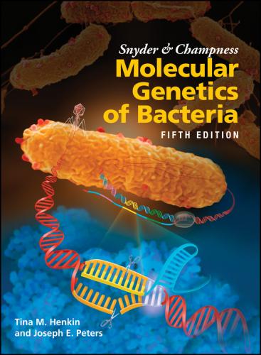 9781555819750 Synder & Champness Molecular Genetics Of Bacteria