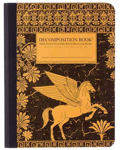 9781592540877 Decomposition Book, Pegasus