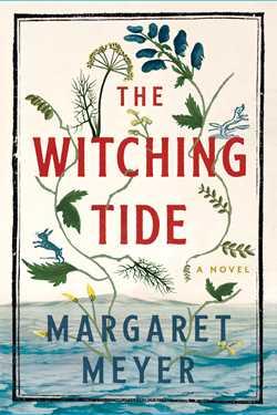 9781668011362 Witching Tide