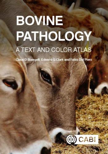 9781780646718 Bovine Pathology