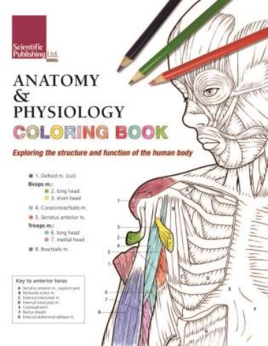 9781935612704 Anatomy & Physiology Coloring Book