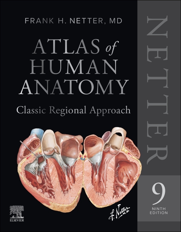 Netter Atlas Of Human Anatomy: Classic Regional Approach: Professional Edition With Netter Reference