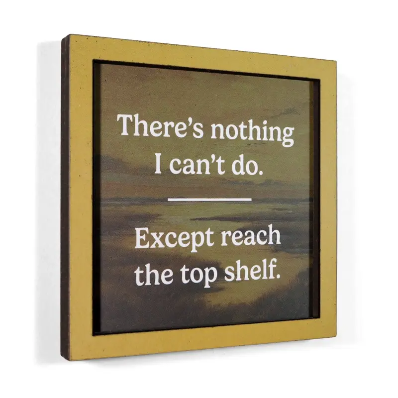 Magnet, Reach The Top Shelf