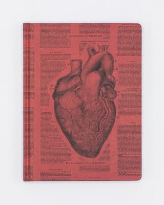 Anatomical Heart